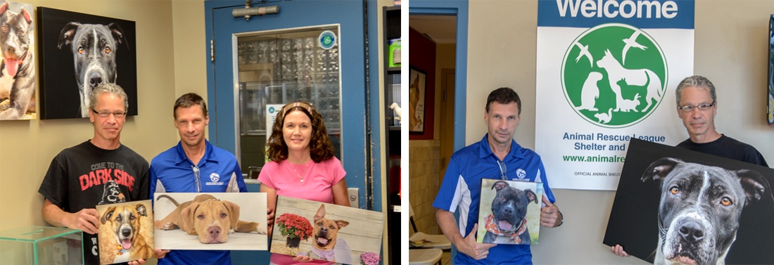 Animal Rescue League Shelter and Wildlife Center Wall Displays