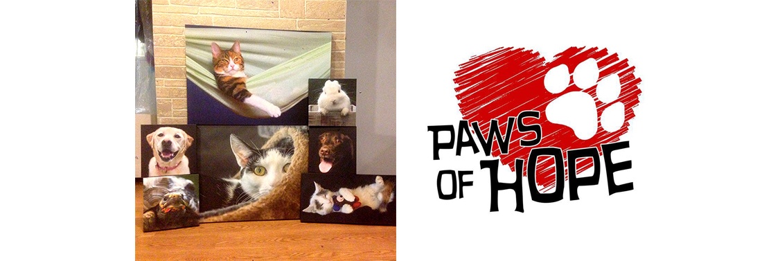 Paws of Hope pet portraits